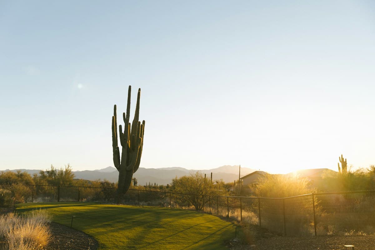 Desert golf course near Cave Creek, AZ