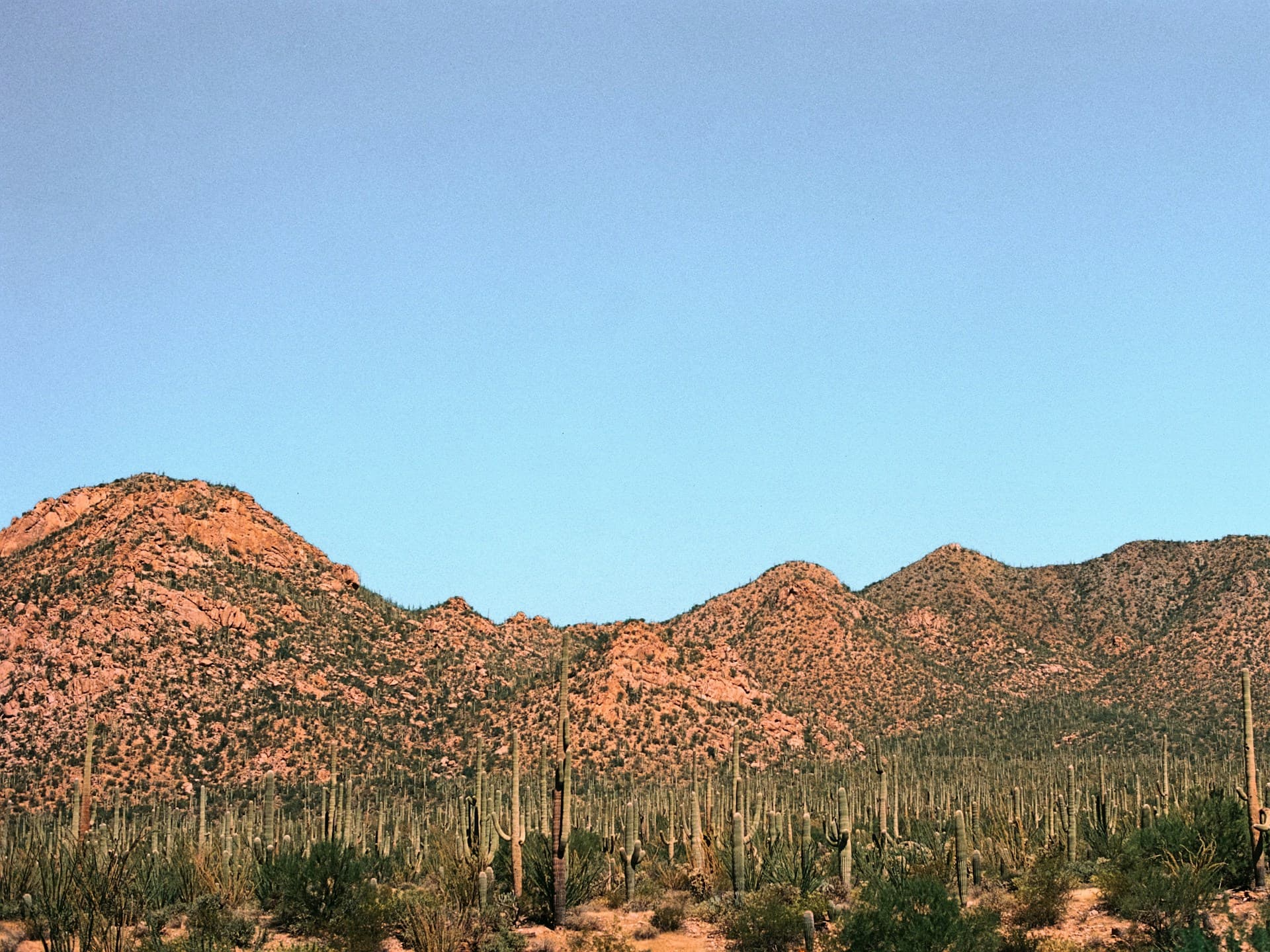 Desert mountain views near Cave Creek, AZ