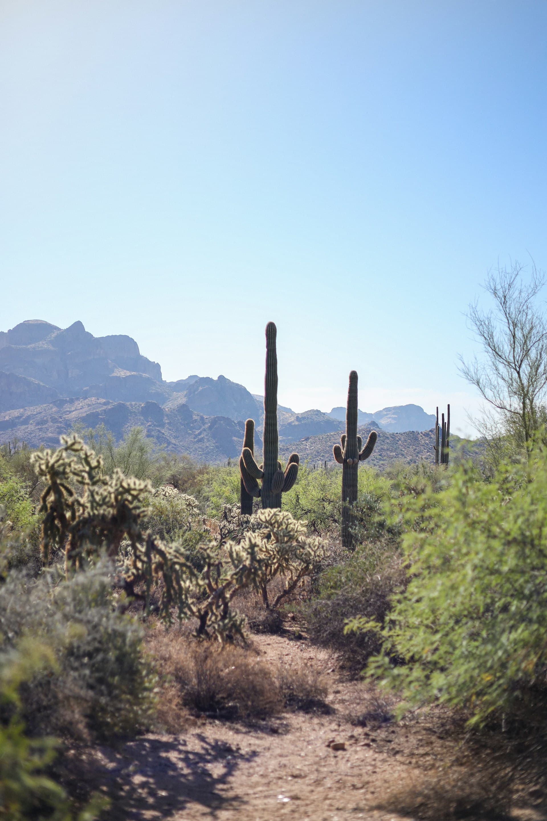 Desert mountain views near North Phoenix, AZ