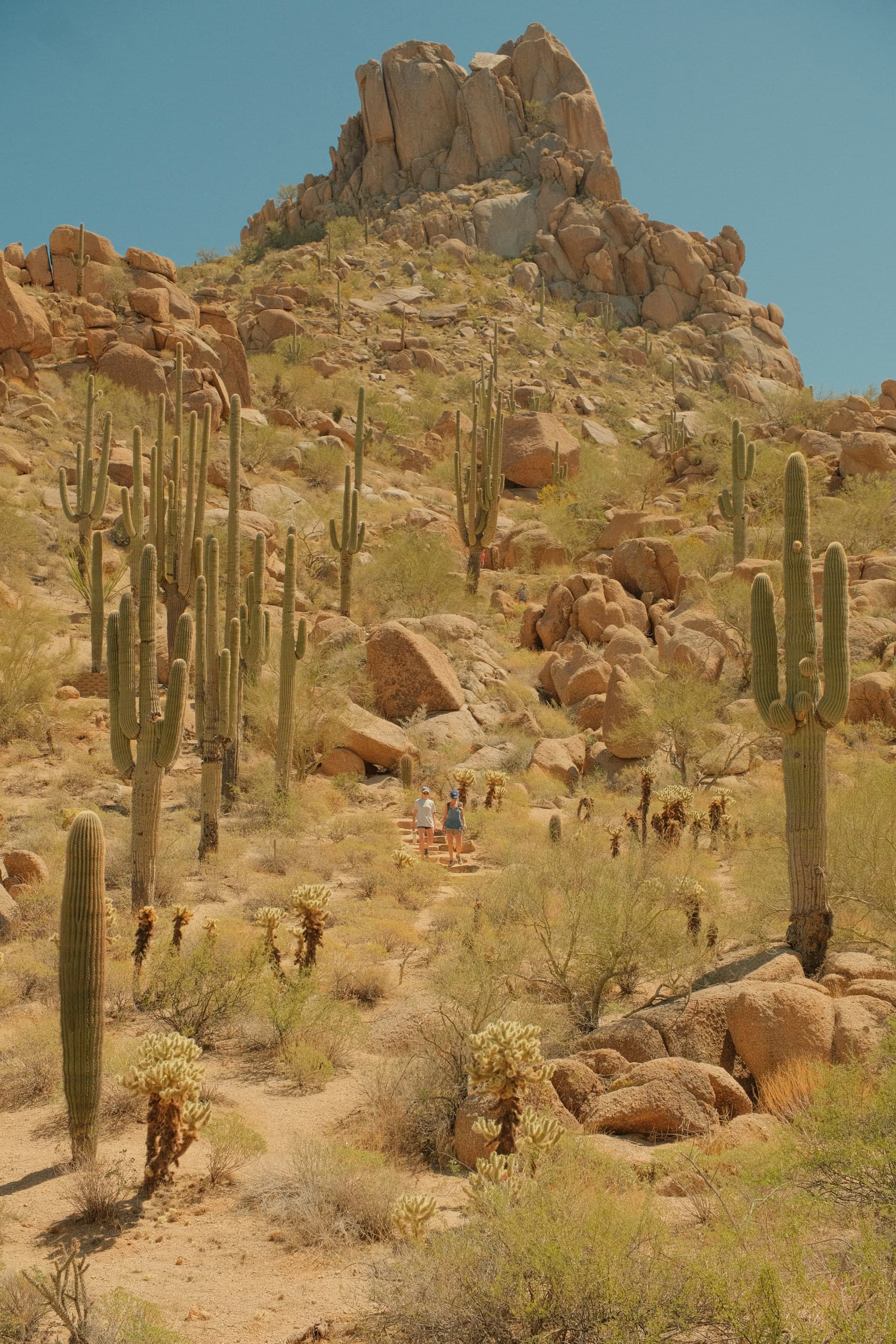 Desert mountain views near North Scottsdale, AZ