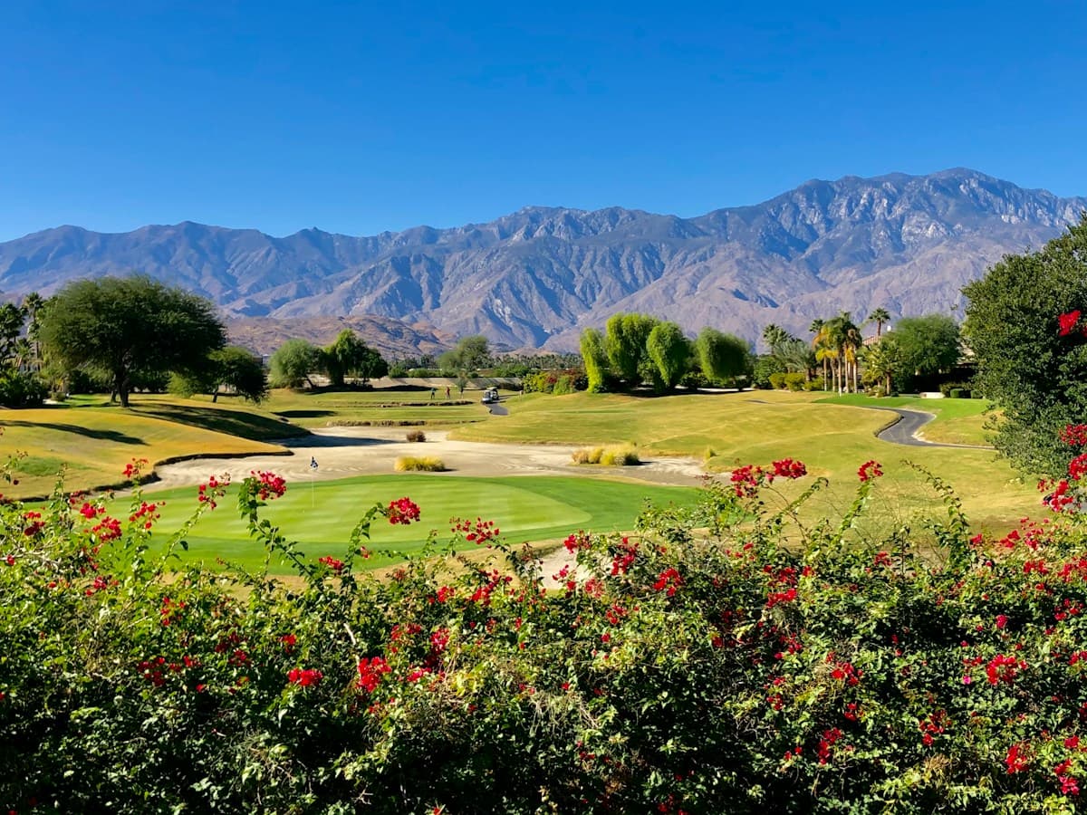 Desert golf course near Old Town Scottsdale, AZ